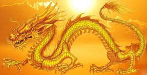 Số đề con heo số mấy?