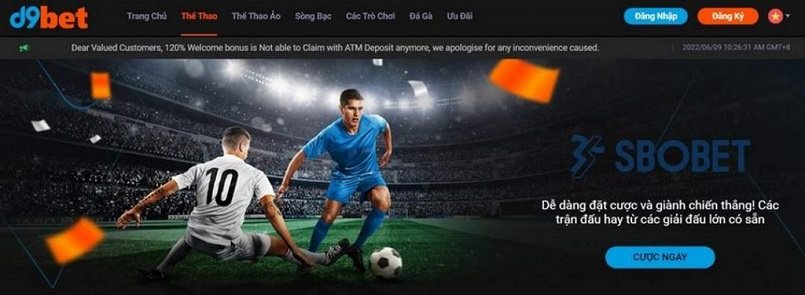 Lựa chọn sân chơi đá gà D9bet cực hiệu quả Lựa chọn sân chơi đá gà D9bet cực hiệu quả