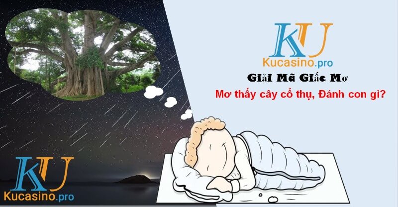 Nằm mơ thấy cây cổ thụ nên đánh lô con gì? 2 Nằm mơ thấy cây cổ thụ nên đánh lô con gì?