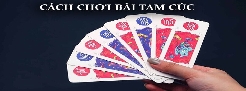 Chọn tam cúc là chọn đúng đường đến sự nghiệp
