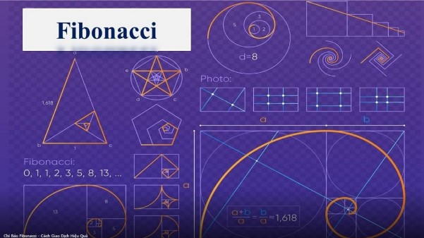 Fibonacci là gì? Tìm hiểu về dãy số kỳ diệu và ứng dụng trong cuộc sống 3 Giới thiệu về dãy số Fibonacci
